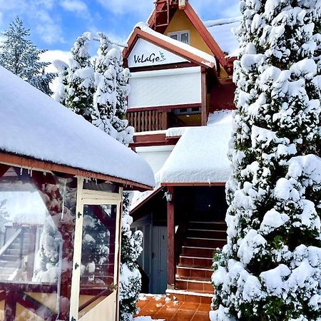 Apartment Velago Zlatibor Dış mekan fotoğraf