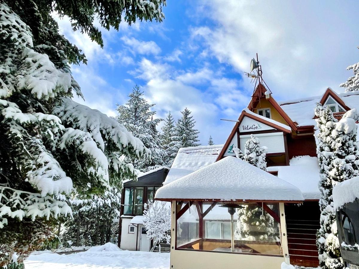 Apartment Velago Zlatibor Dış mekan fotoğraf