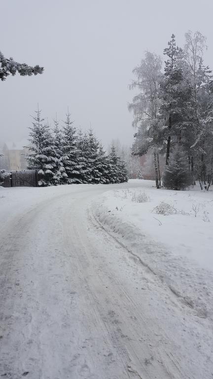 Apartment Velago Zlatibor Dış mekan fotoğraf