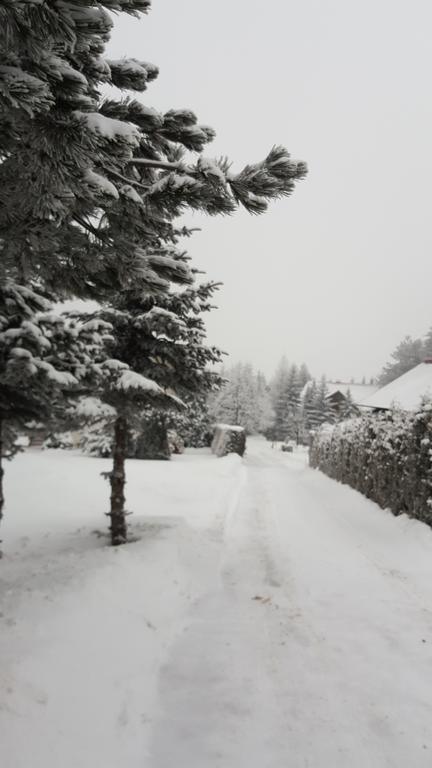 Apartment Velago Zlatibor Dış mekan fotoğraf